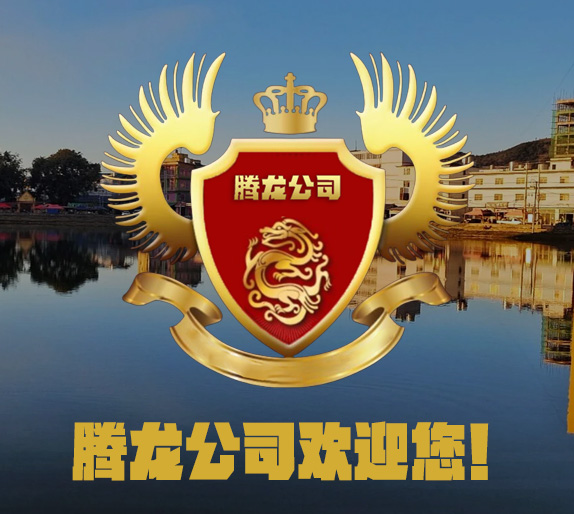 新盛公司公司外观